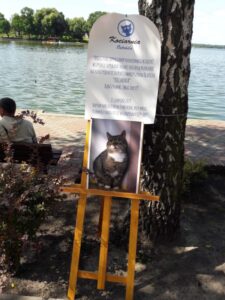 SUKCES PIERWSZEGO KOCIARNIANEGO KIERMASZU KSIĄŻKOWEGO. KOLEJNY JUŻ 25 SIERPNIA 4 68408179 2410997295805019 643870998453551104 N E1565962373964