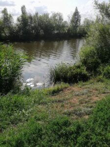 POWSTAŁ SZLAK ROWEROWY KANAŁU ELBLĄSKIEGO ŁĄCZĄCY ELBLĄG Z OSTRÓDĄ! 29 68668915 706465306459212 5193035942457245696 O