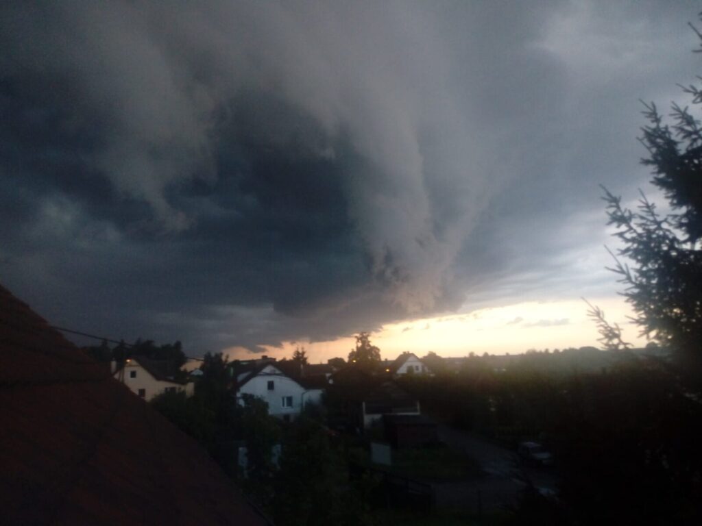 Czytelniczka