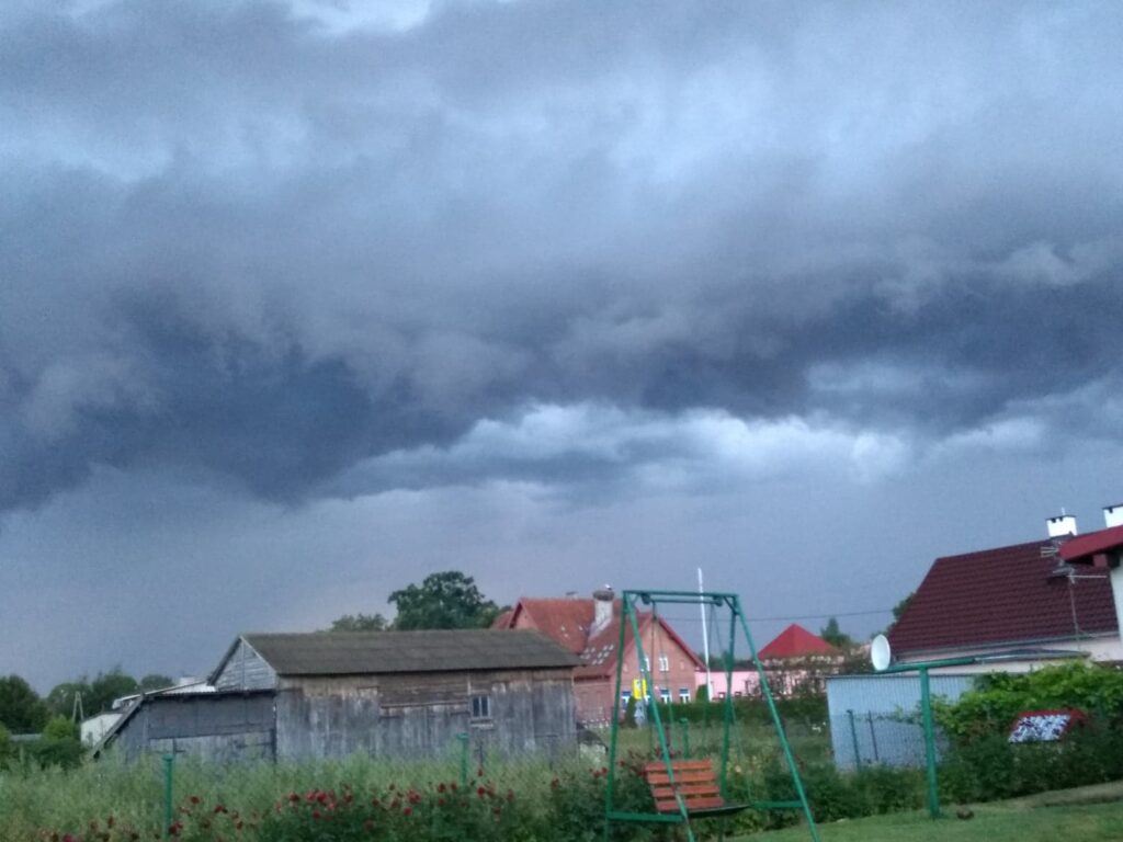 Czytelniczka 2