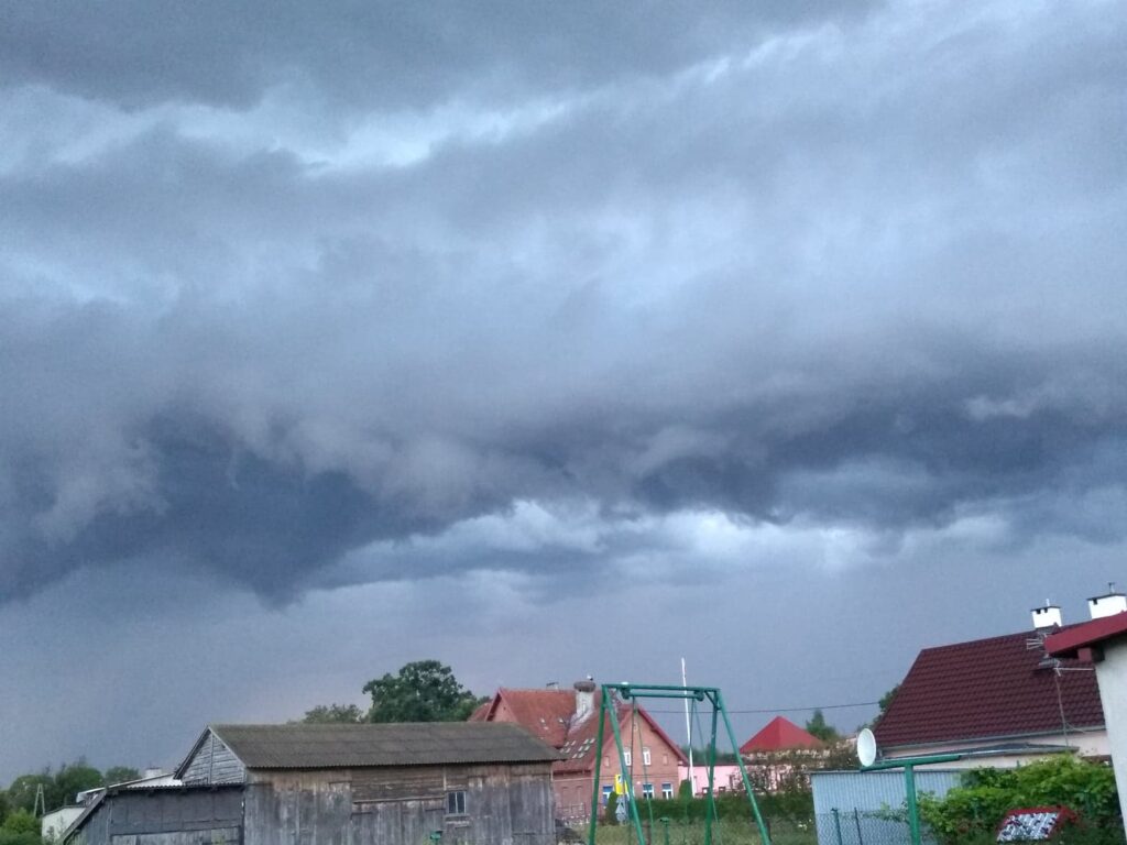 Czytelniczka 4