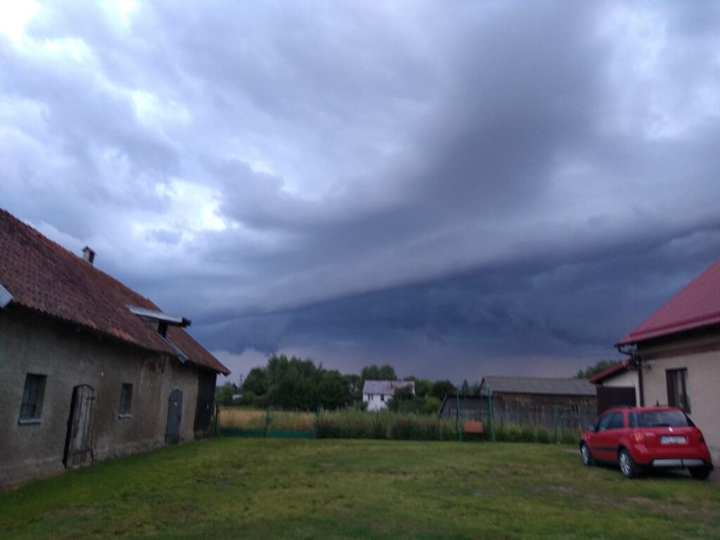 Czytelniczka 6