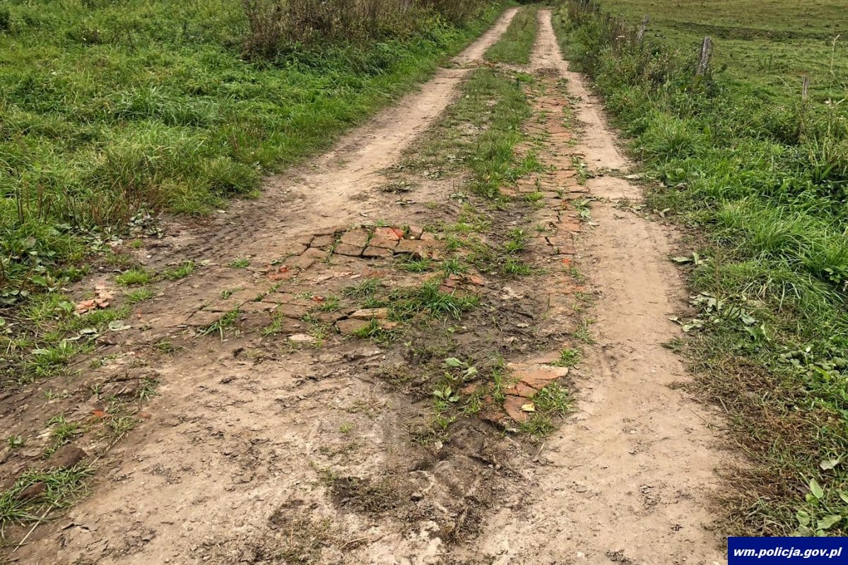 KRADLI CEGŁY Z ZABYTKOWEGO DWORKU W MAŁDYTACH I ŁATALI NIMI DZIURY W DRODZE 3 100 140658