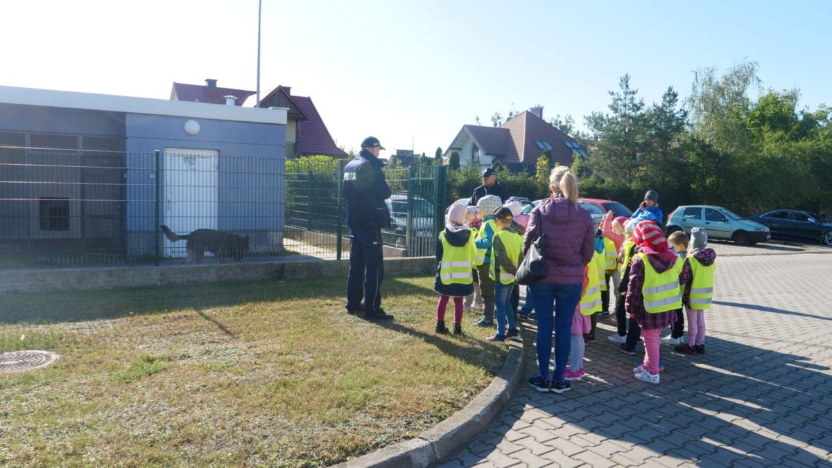 SMERFY W OSTRÓDZKIEJ KOMENDZIE 4 100 140671 E1569498102914
