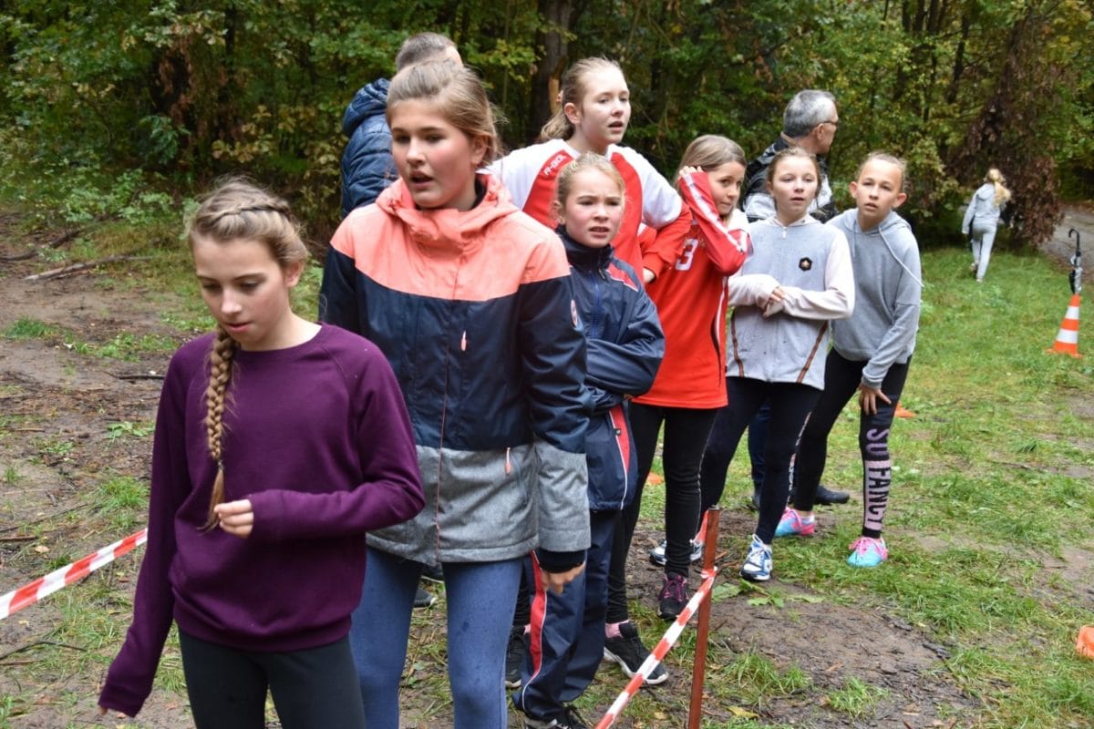 IDZBARK PRZED SAMBOROWEM I LIPOWEM W GMINIE OSTRÓDA W BIEGACH PRZEŁAJOWYCH 3 6560145Ef9Cedf5448D3451B05Da07A0 E1570712567449