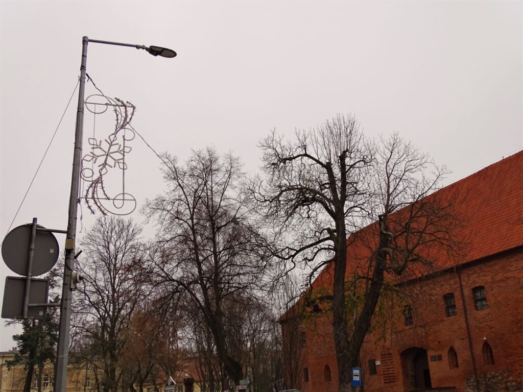 Dsc03306