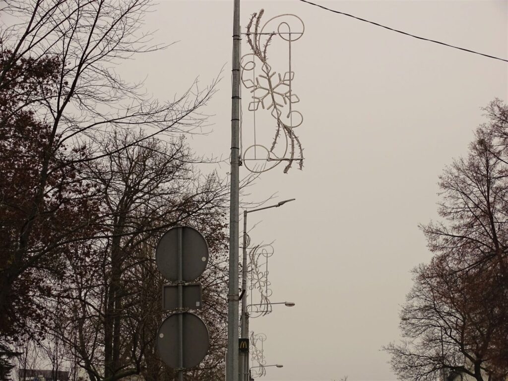 Dsc03310