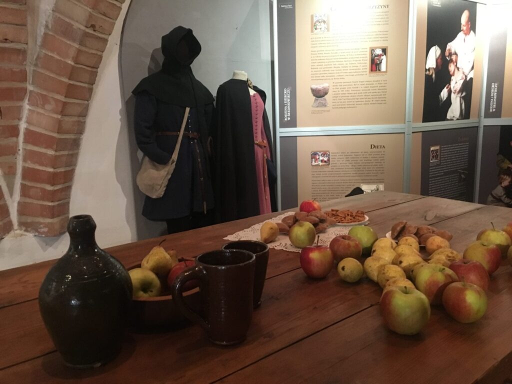 Img 1584