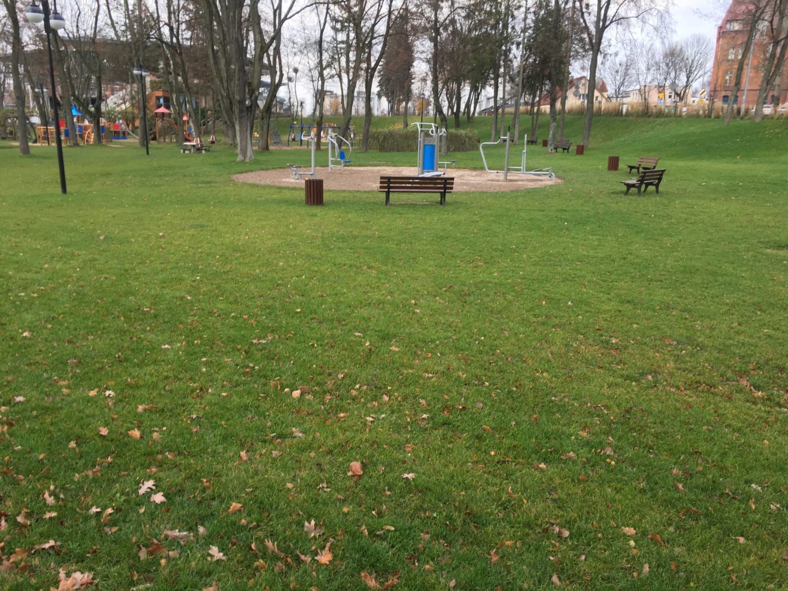 PROFESJONALNY STREET WORKOUT POWSTANIE W OSTRÓDZIE? 4 Img 1926