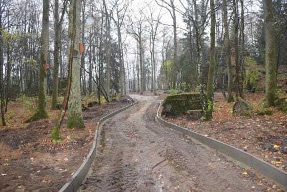 REGION: NIETOPERZE W WILCZYM SZAŃCU 3 Article 11