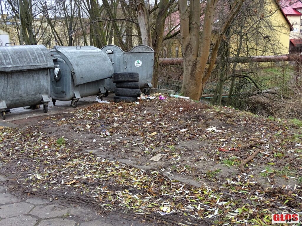 Dsc04524