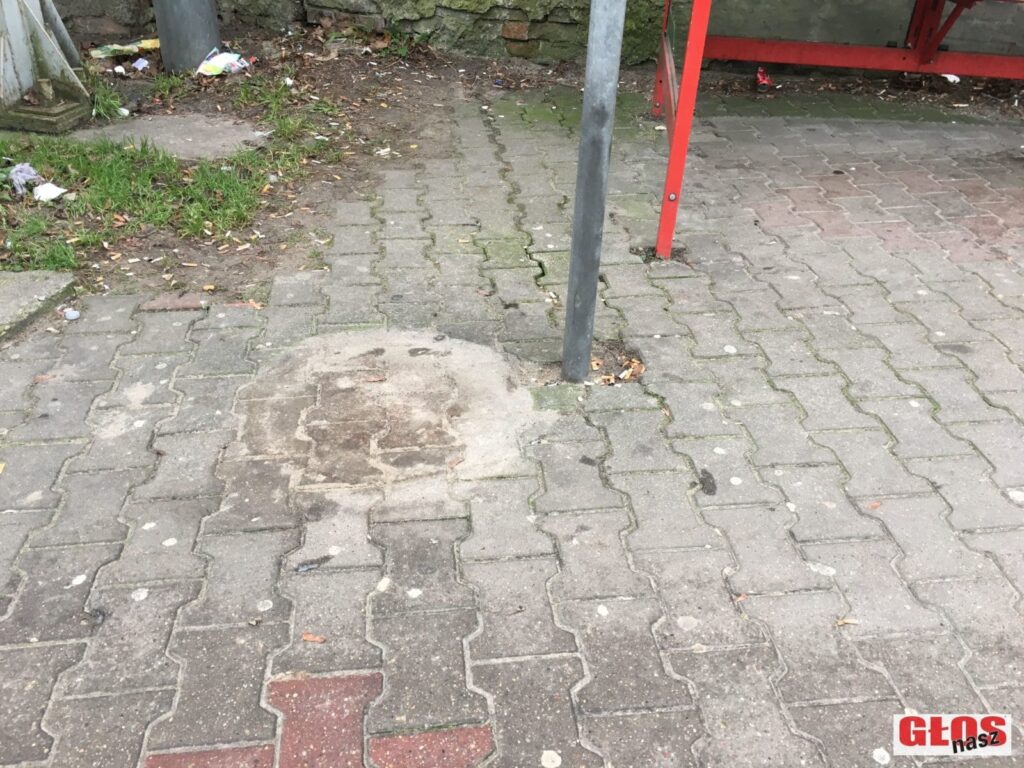 ZNIKNĘŁY ŚMIETNIKI PRZY DROGACH POWIATOWYCH W OSTRÓDZIE - INFORMACJA MIASTA 4 Img 2349