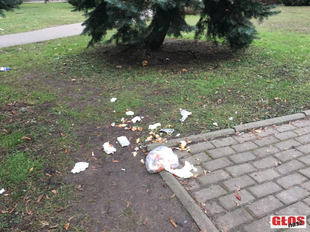 ZNIKNĘŁY ŚMIETNIKI PRZY DROGACH POWIATOWYCH W OSTRÓDZIE - INFORMACJA MIASTA 5 Img 2350
