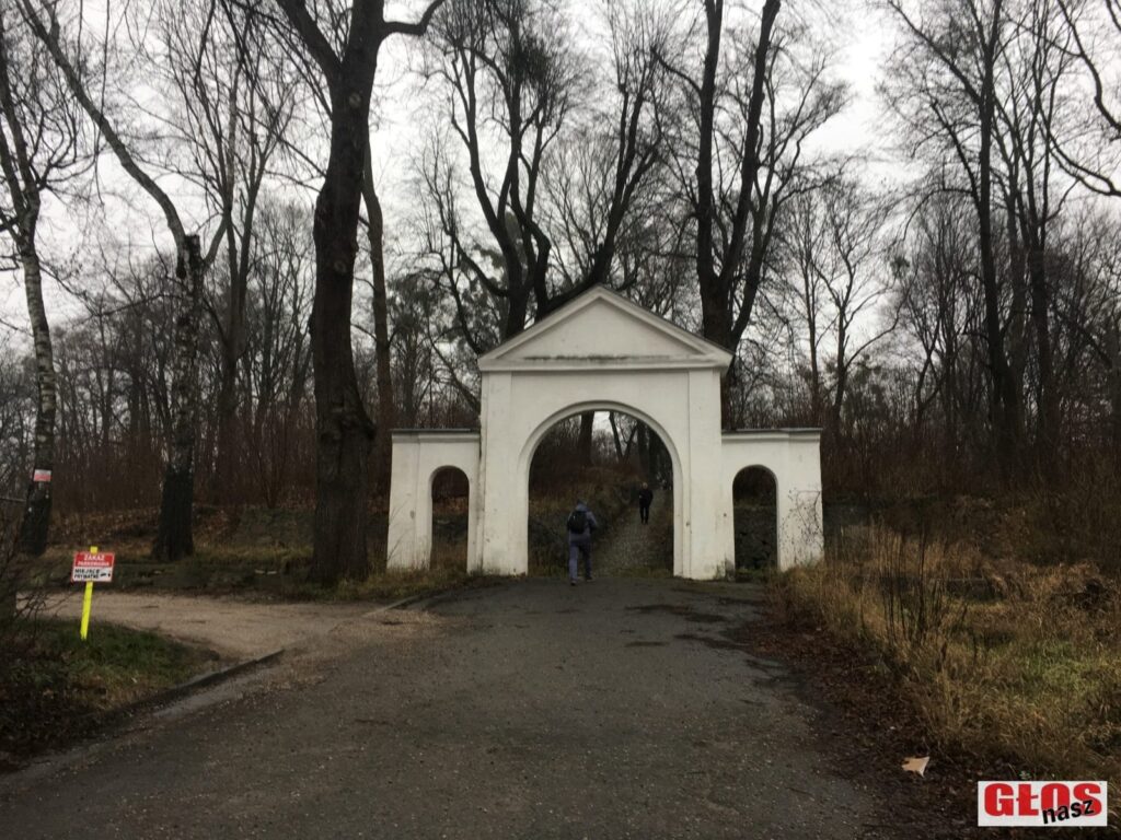IMG 2449