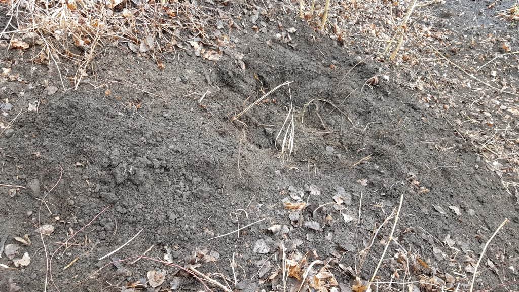 KONIEC AKCJI NA PRZYSTANI SOKOŁA, JEDEN Z ŁADUNKÓW ZDETONOWANO NA MIEJSCU 17 Img 20200220 Wa0000