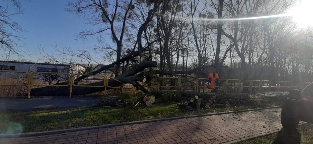SILNY WIATR I MNÓSTWO STRAŻACKICH INTERWENCJI W POWIECIE 3 20200313 083228