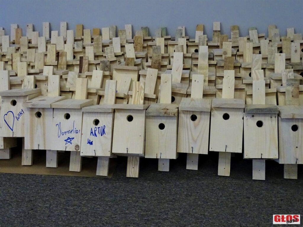 OSTRÓDA ROZWIJA SKRZYDŁA - POWSTAŁO BLISKO 230 BUDEK LĘGOWYCH DLA PTAKÓW 6 Dsc08475
