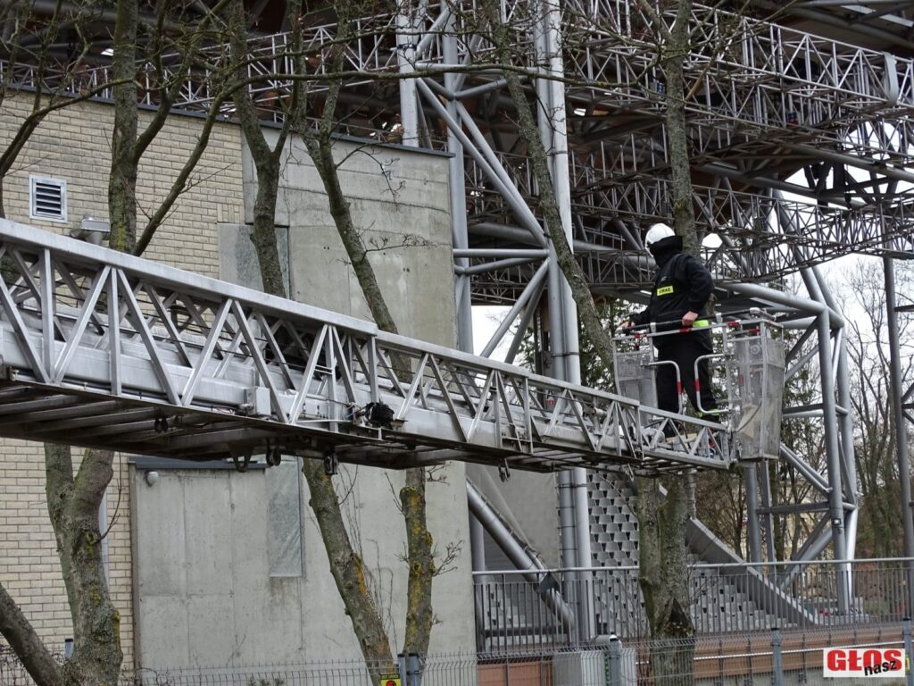 OSTRÓDA ROZWIJA SKRZYDŁA - POWSTAŁO BLISKO 230 BUDEK LĘGOWYCH DLA PTAKÓW 10 Dsc08493