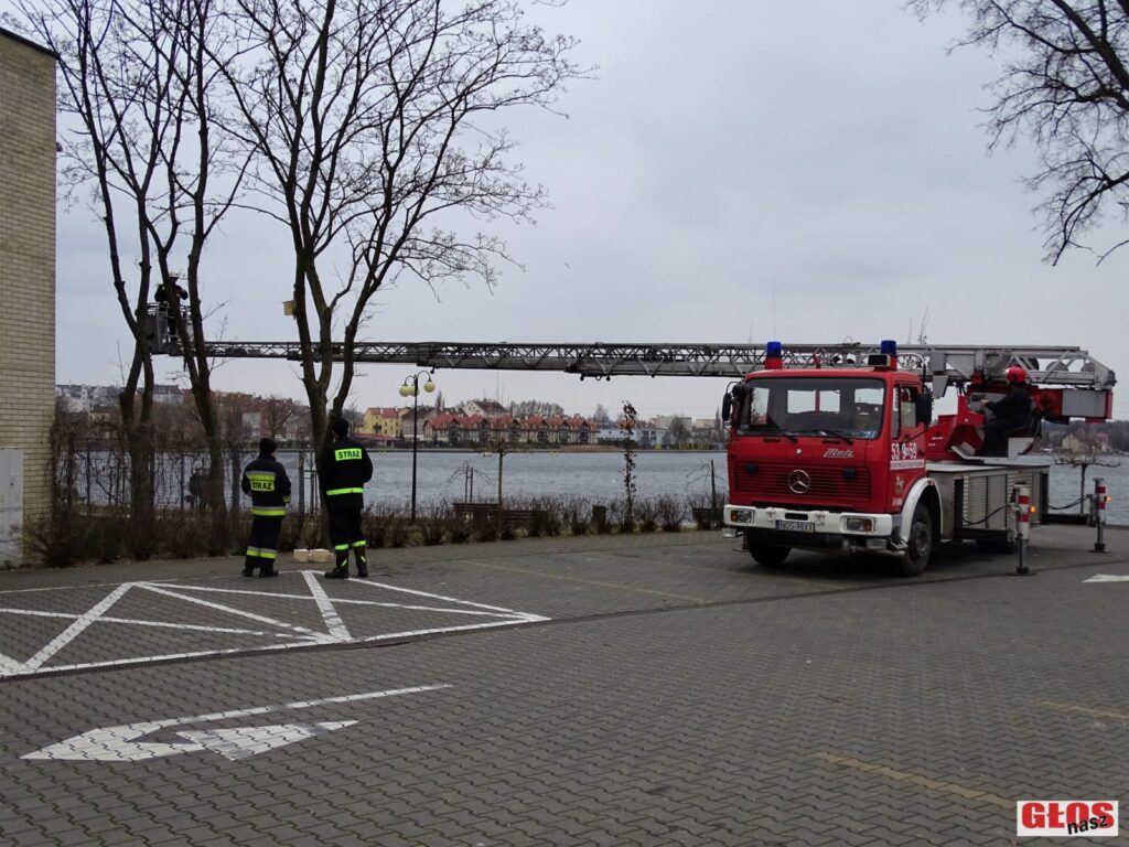 OSTRÓDA ROZWIJA SKRZYDŁA - POWSTAŁO BLISKO 230 BUDEK LĘGOWYCH DLA PTAKÓW 11 Dsc08495