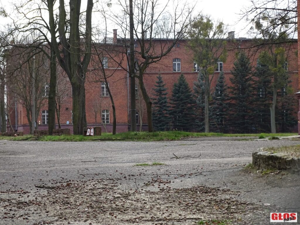 Dsc08707