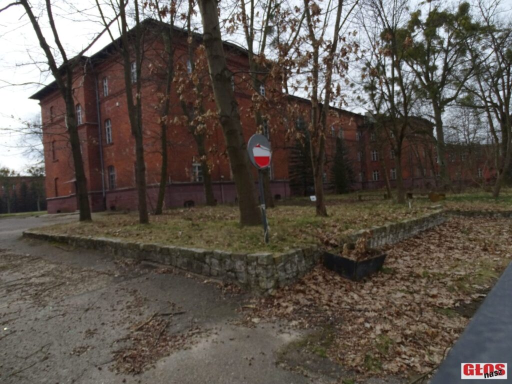 Dsc08709