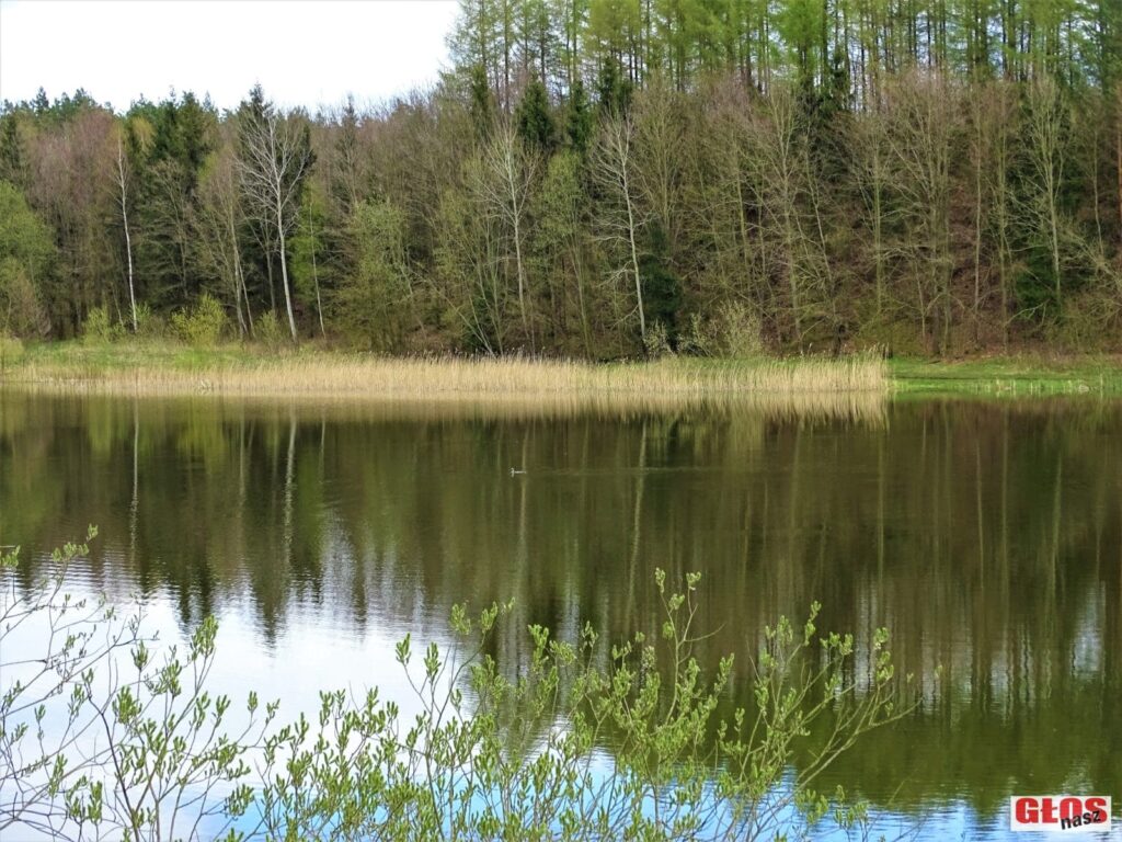 Dsc09080