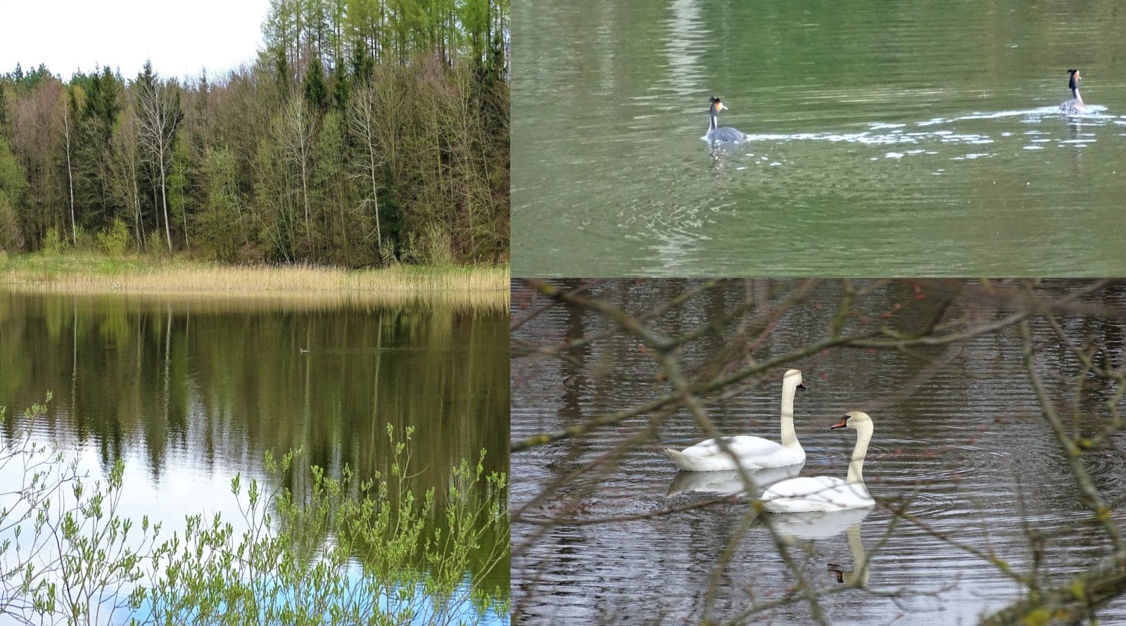 Slijder 1