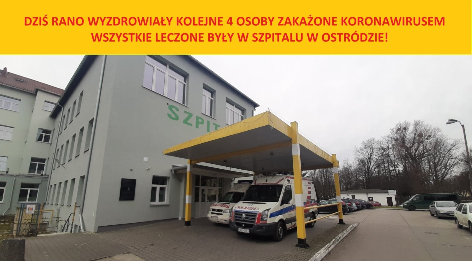 Wyzdrowienie 15