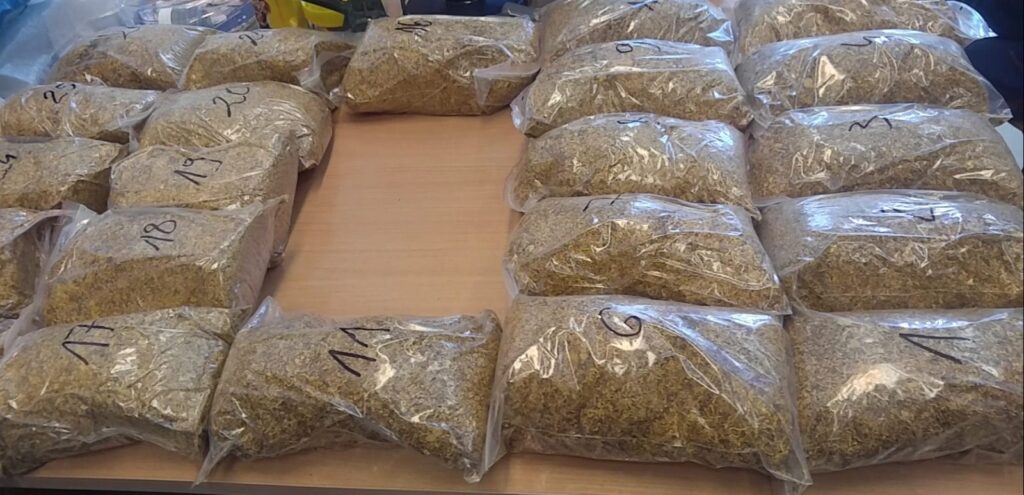 OSTRÓDA: ZABEZPIECZONO KILOGRAMY TYTONIU I KILKASET PACZEK PAPIEROSÓW BEZ AKCYZY 13 100 155001 g