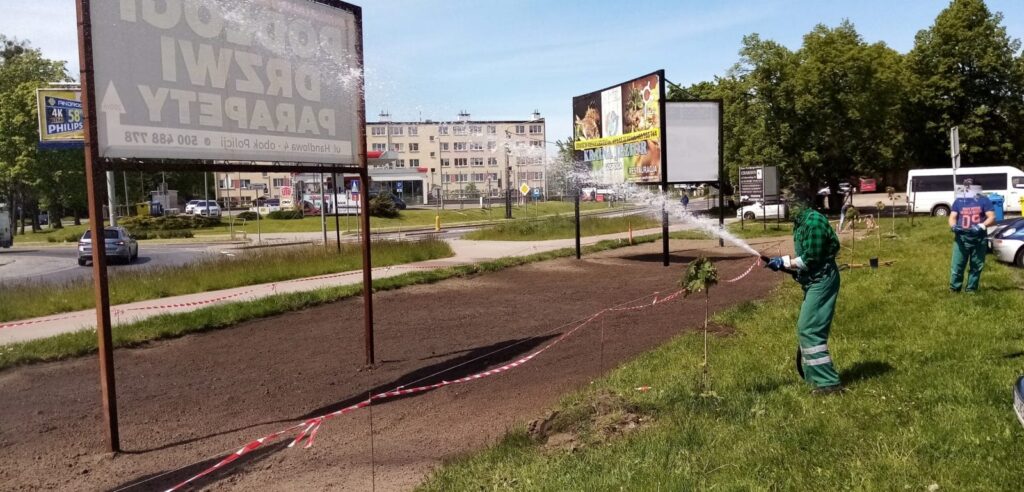 POSIANO JUŻ KWIATY I ZIOŁA. ŁĄKA KWIETNA PRZY PADEREWSKIEGO I GRUNWALDZKIEJ WKRÓTCE! 2 100683978 942670819510219 5133840289412153344 O