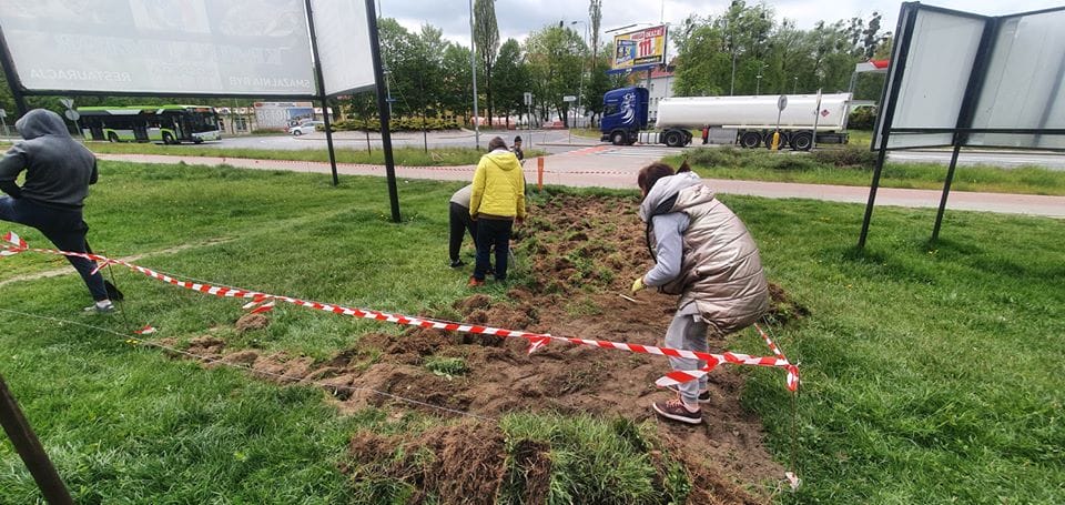W OSTRÓDZIE POWSTANIE ŁĄKA KWIETNA PRZY UL. PADEREWSKIEGO I GRUNWALDZKIEJ 4 96820330 931742290603072 7510781212286255104 O
