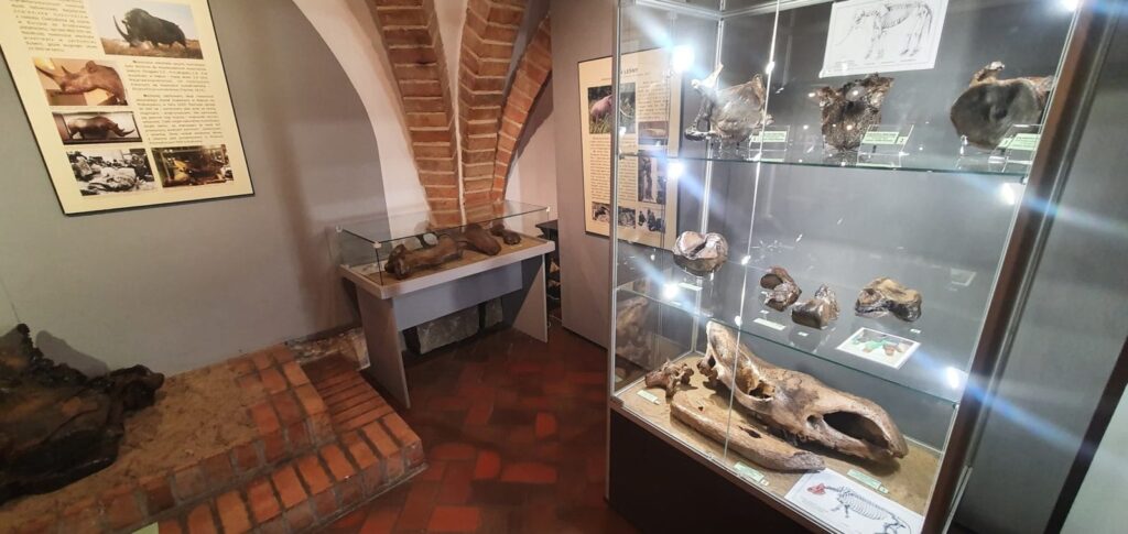 MUZEUM W OSTRÓDZIE PONOWNIE OTWARTE DLA ZWIEDZAJĄCYCH! 3 97132487 933100143800620 1843713727984041984 O