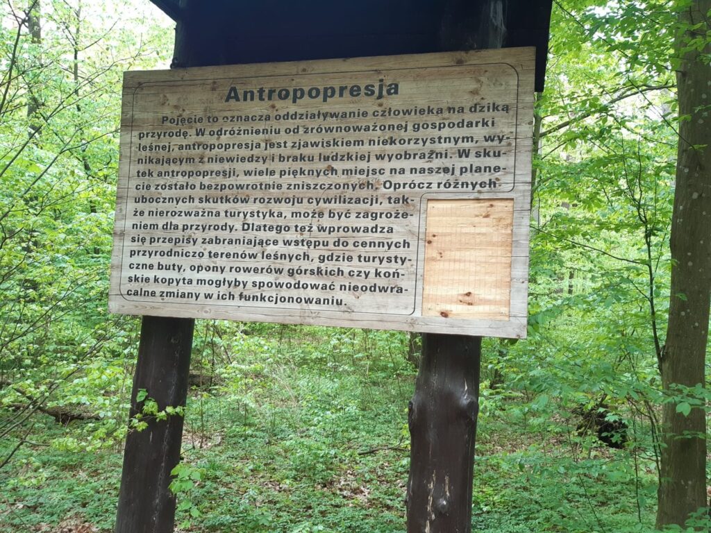 ZDEWASTOWANO ŚCIEŻKĘ EDUKACYJNĄ W NADLEŚNICTWIE STARE JABŁONKI 4 97323211 1395924123949289 7397566424119508992 O