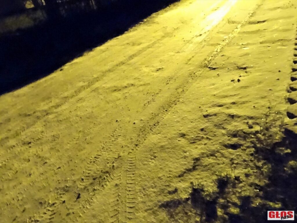 DSC03602