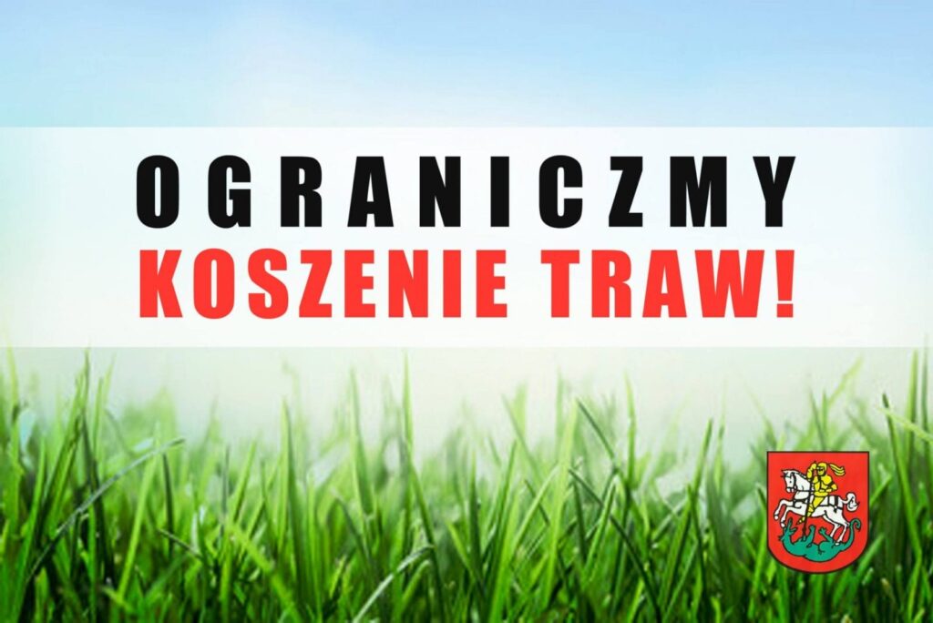 koszenietraw