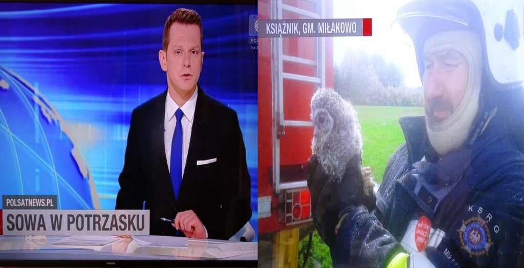 STRAŻACY Z MIŁAKOWA I URATOWANA PRZEZ NICH SOWA W TV POLSAT! 24 slijder 5
