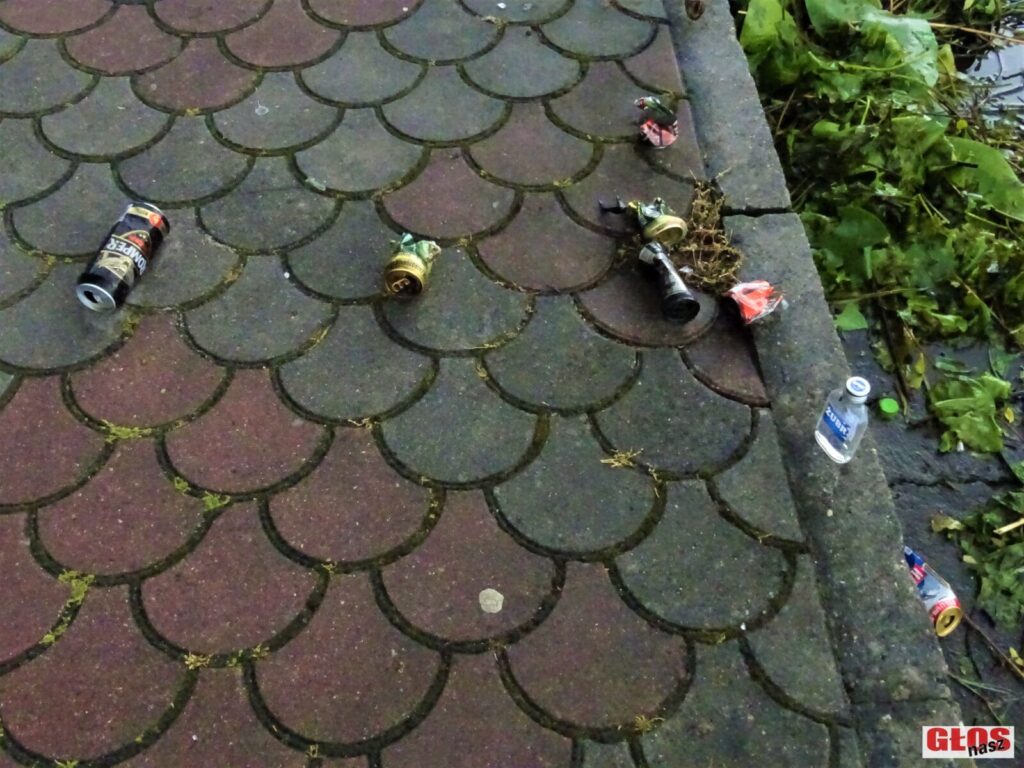 Dsc00642