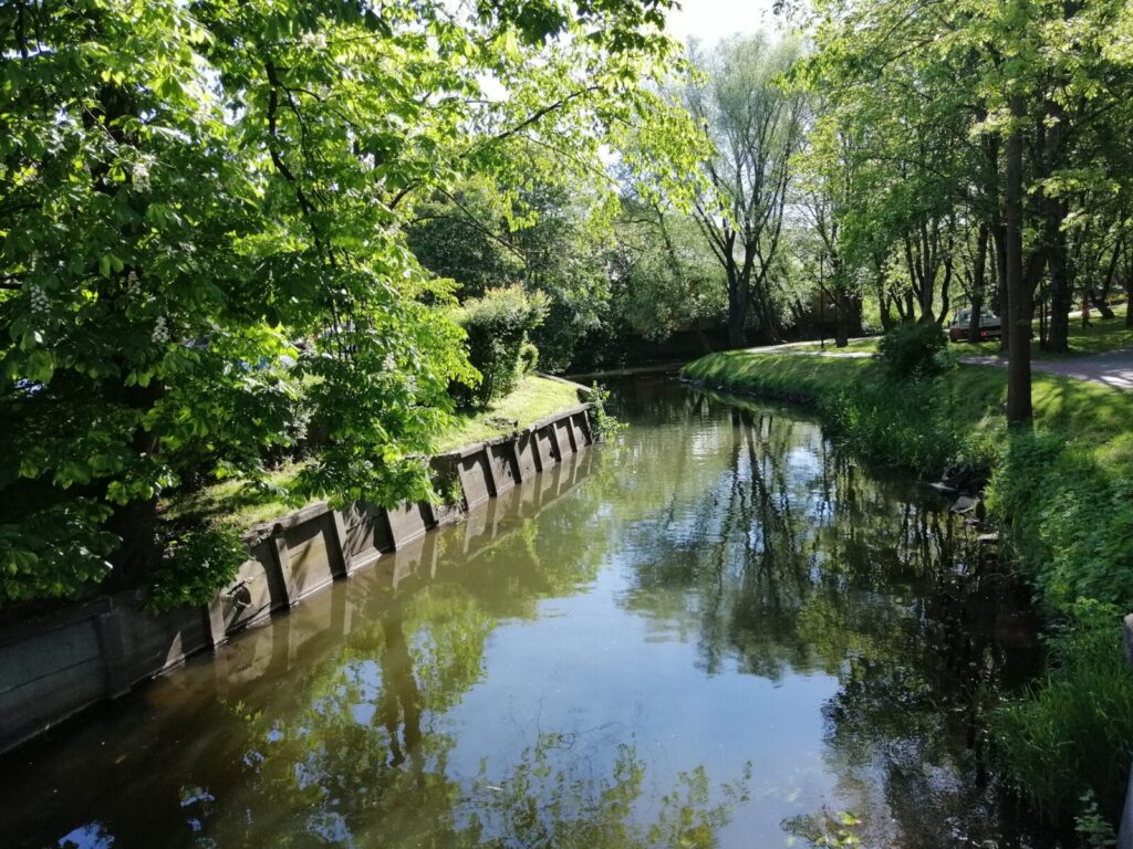 IMG 20200601 084144