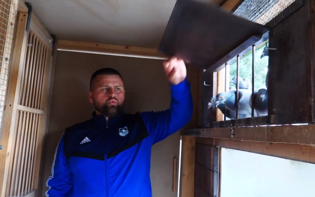 GOŁĘBIA PASJA KOM. MARCINA KOCIOŁKA, POLICJANTA Z KPP OSTRÓDA (VIDEO) 1 Goębie