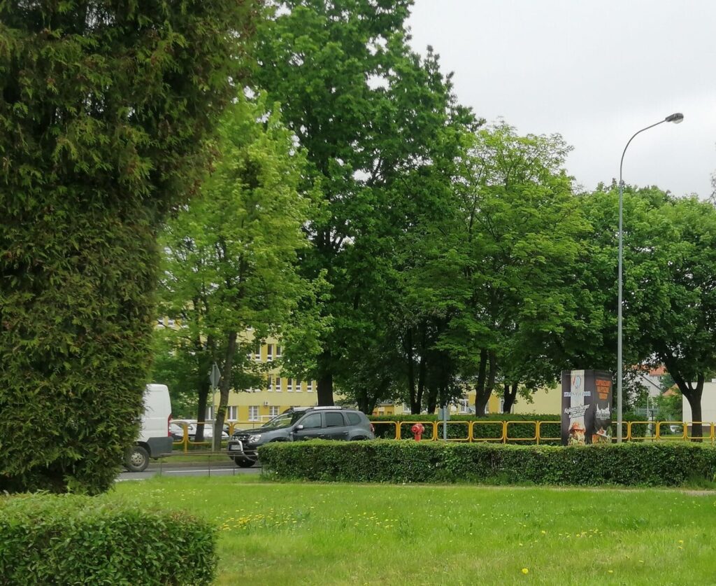 IMG 20200610 141056 1