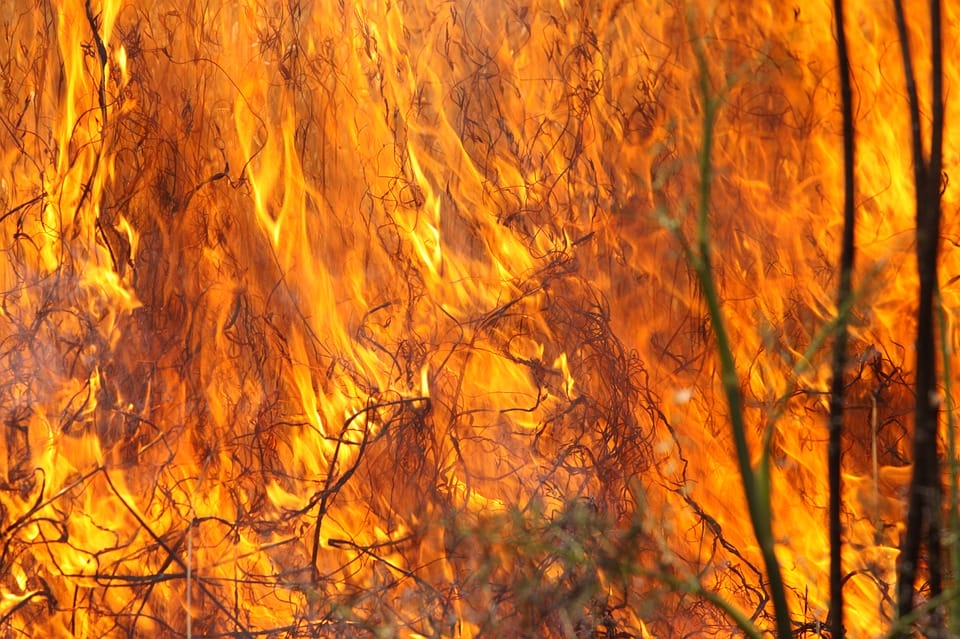 Burning Grass 1165823 960 720