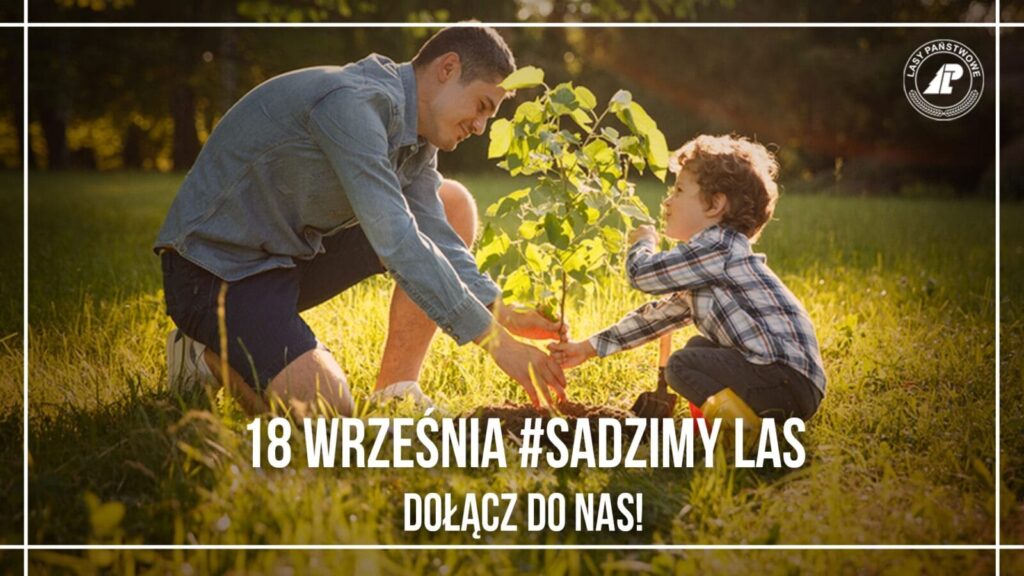 #SADZIMY LAS - ODBIERZ SADZONKĘ W NADLEŚNICTWACH MIŁOMŁYN, STARE JABŁONKI I OLSZTYNEK 13 119106584 1527364290781583 8211814675883316491 o