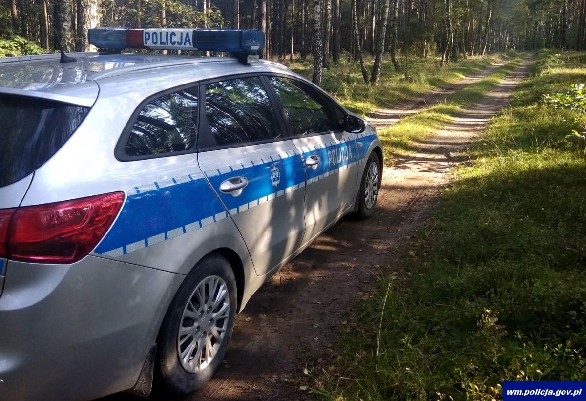 REGION: JELEŃ ZAATAKOWAŁ GRZYBIARZY. JEDNA OSOBA POTURBOWANA 1 32 160974