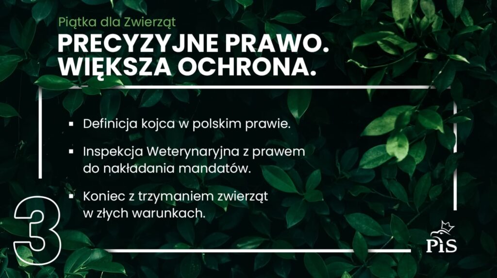 PIĄTKA DLA ZWIERZĄT: KONIEC Z ŁAŃCUCHAMI, ZAKAZ HODOWLI NA FUTRA I WIELE INNYCH ROZWIĄZAŃ! 5 5F5767Dfb9856