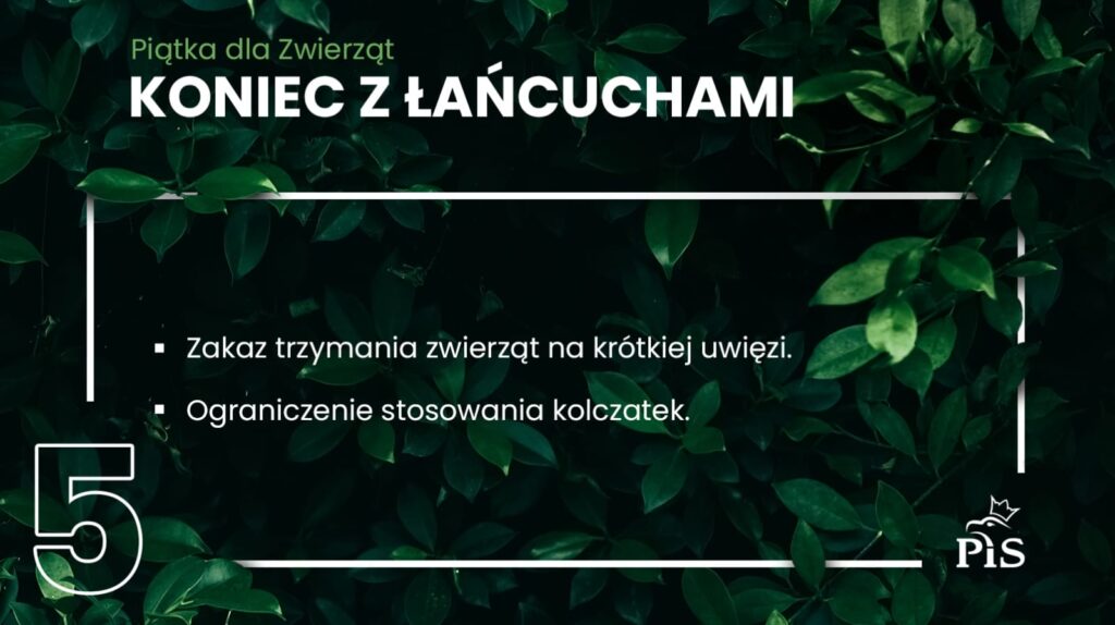 PIĄTKA DLA ZWIERZĄT: KONIEC Z ŁAŃCUCHAMI, ZAKAZ HODOWLI NA FUTRA I WIELE INNYCH ROZWIĄZAŃ! 7 5F576803190D3