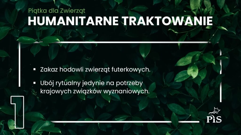 PIĄTKA DLA ZWIERZĄT: KONIEC Z ŁAŃCUCHAMI, ZAKAZ HODOWLI NA FUTRA I WIELE INNYCH ROZWIĄZAŃ! 3 5F57687790C43