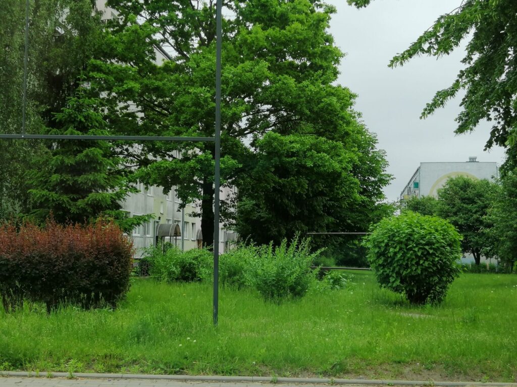 IMG 20200610 141003