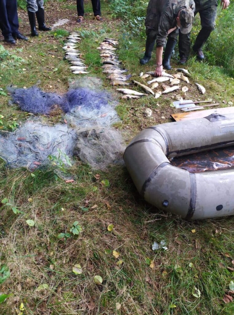 KŁUSOWNIK NIELEGALNIE ZŁOWIŁ 31 KG RYB - SAM TEŻ ZOSTAŁ "ZŁOWIONY" 5 Image Gallery 20