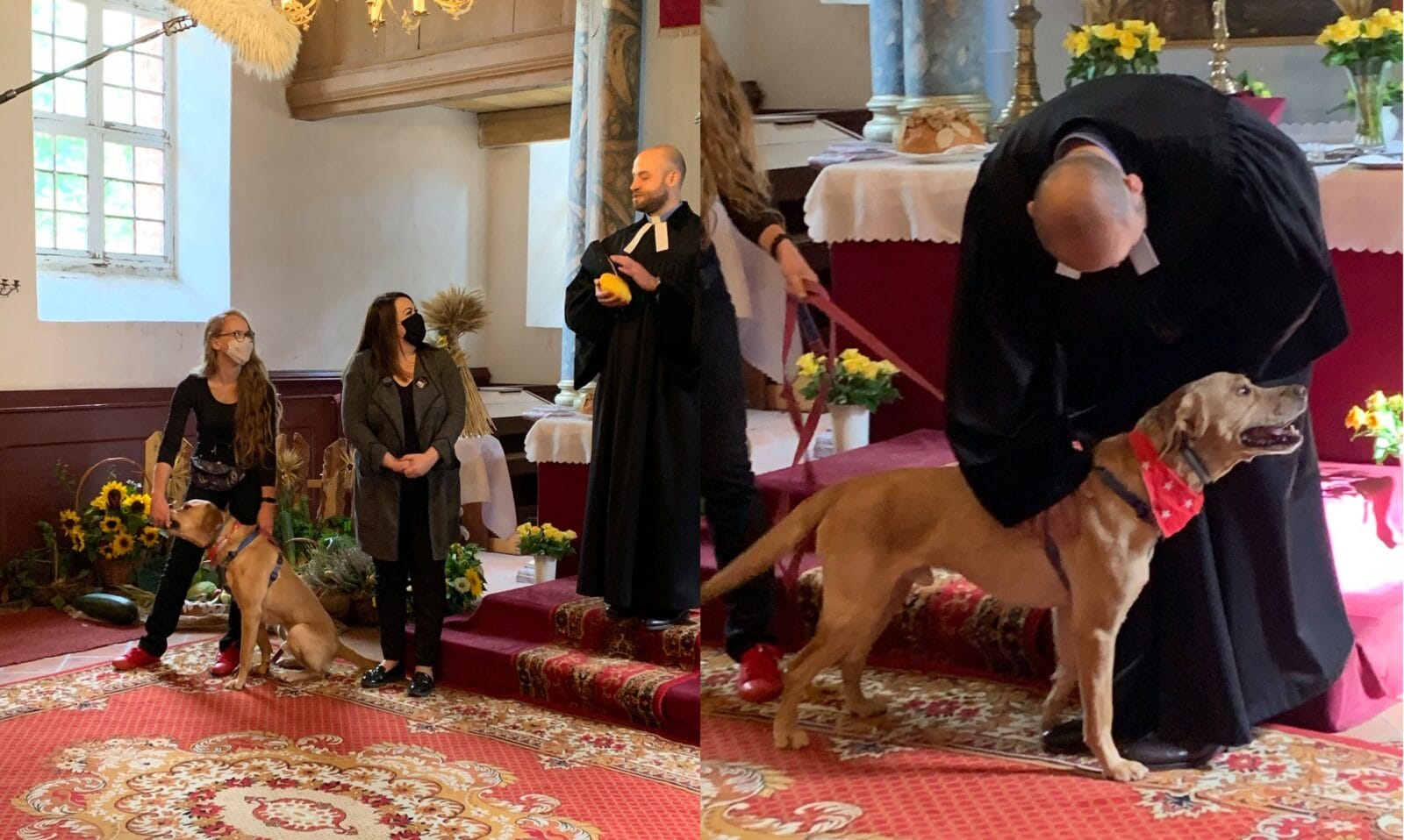 PSY W KOŚCIELE W ŁĘGUTACH - NIEZWYKŁA AKCJA KSIĘDZA WOJCIECHA PŁOSZKA 1 Slijder Psy