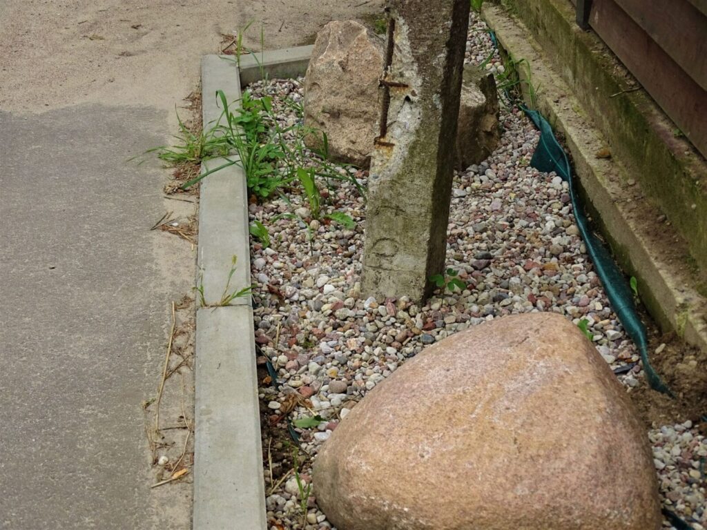 Dsc02461